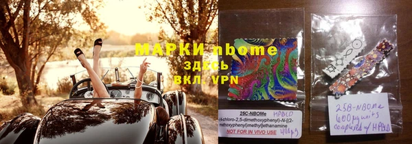 гашик Россошь