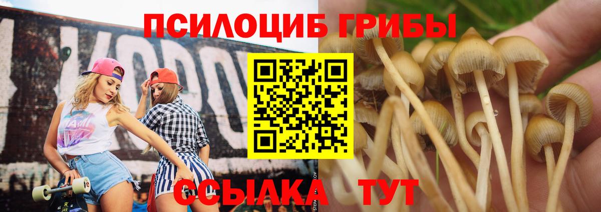 Галлюциногенные грибы MAGIC MUSHROOMS Кумертау